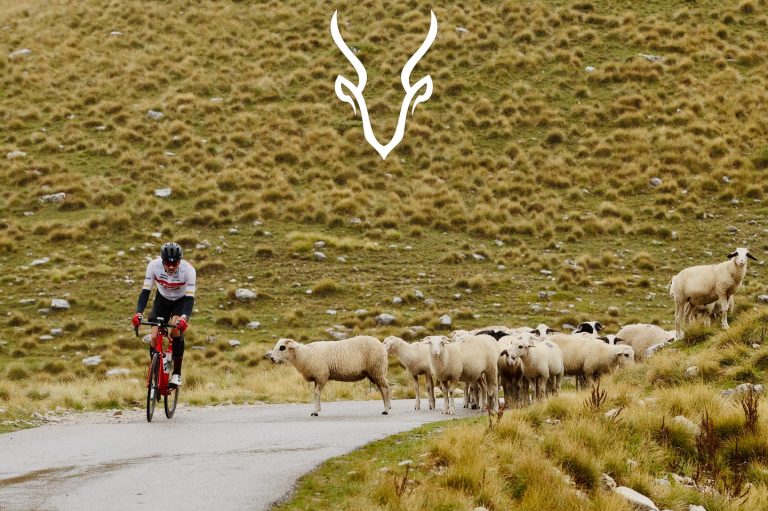 557224321 18307864993221855 1266798070267466189 n