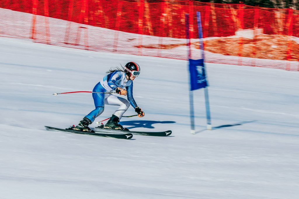 Srebrna lisica D1 0028