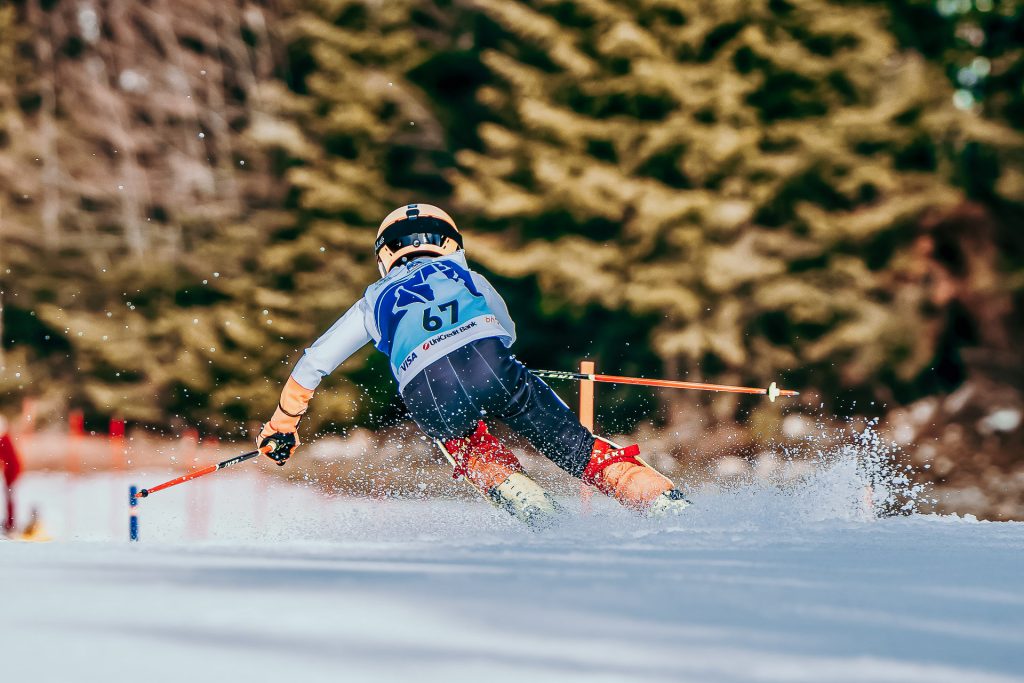 Srebrna lisica D2 0754