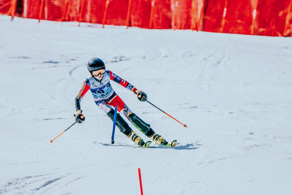 Srebrna lisica D2 0807